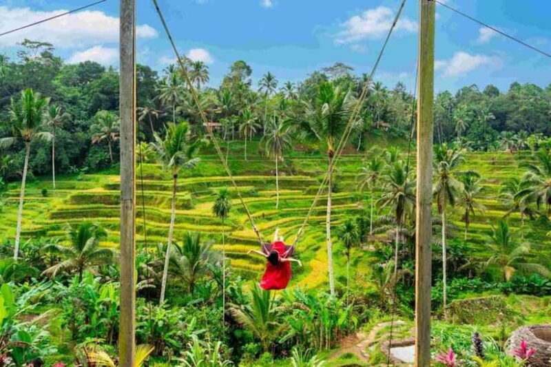 Bali: Ubud Amazing Volcano Tour with Tirta Empul Temple - Practical Tips for Your Day