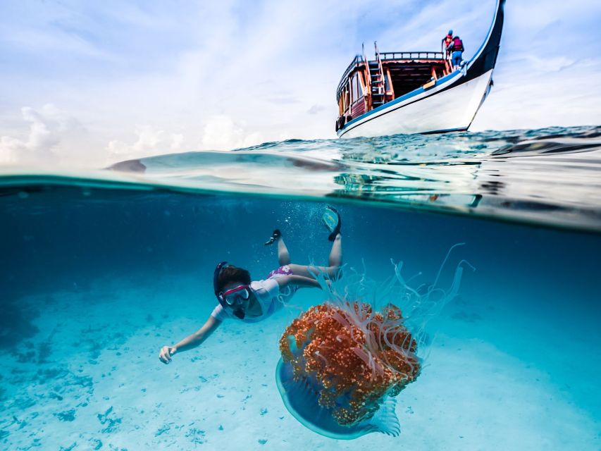 Bali: Ubud ATV and Blue Lagoon Snorkeling Tour With Lunch - Key Points