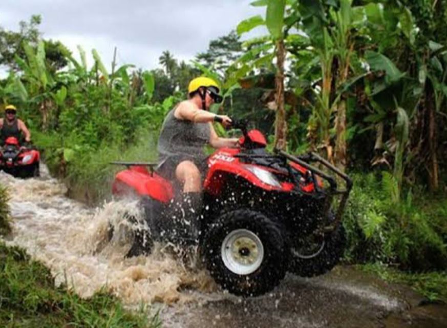 Bali: Ubud ATV and Blue Lagoon Snorkeling Tour With Lunch - Marine Life Sightings