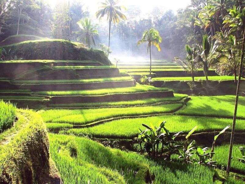 Bali: Ubud Day Tour with Swing and Zipline - How the Experience Adds Up