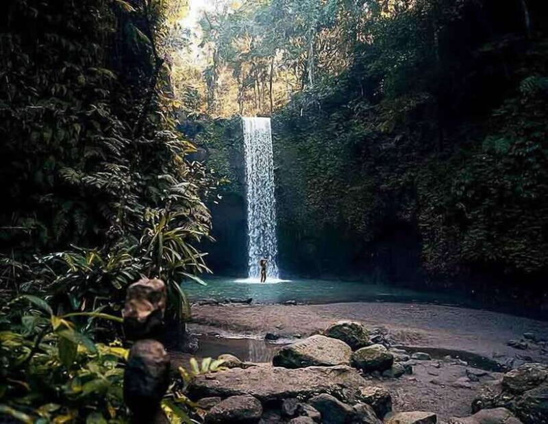 Bali: Ubud Day Tour with Swing and Zipline - Who Will Benefit Most?