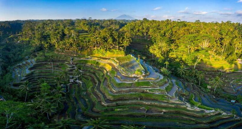 Bali: Ubud Day Trip With Barong Dance - FAQs