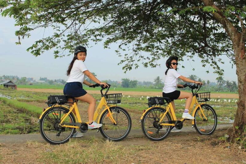 Bali: Ubud E-bike Cycling Tour with Lunch - Key Points
