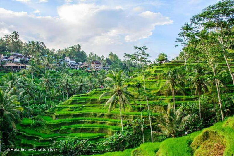Bali: Ubud E-bike Cycling Tour with Lunch - An In-Depth Look at the Experience