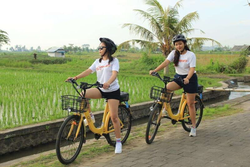 Bali: Ubud E-bike Cycling Tour with Lunch - What You Need to Know Before Booking