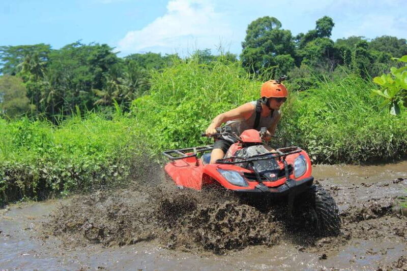Bali: Ubud E-bike Cycling Tour with Lunch - The Sum Up