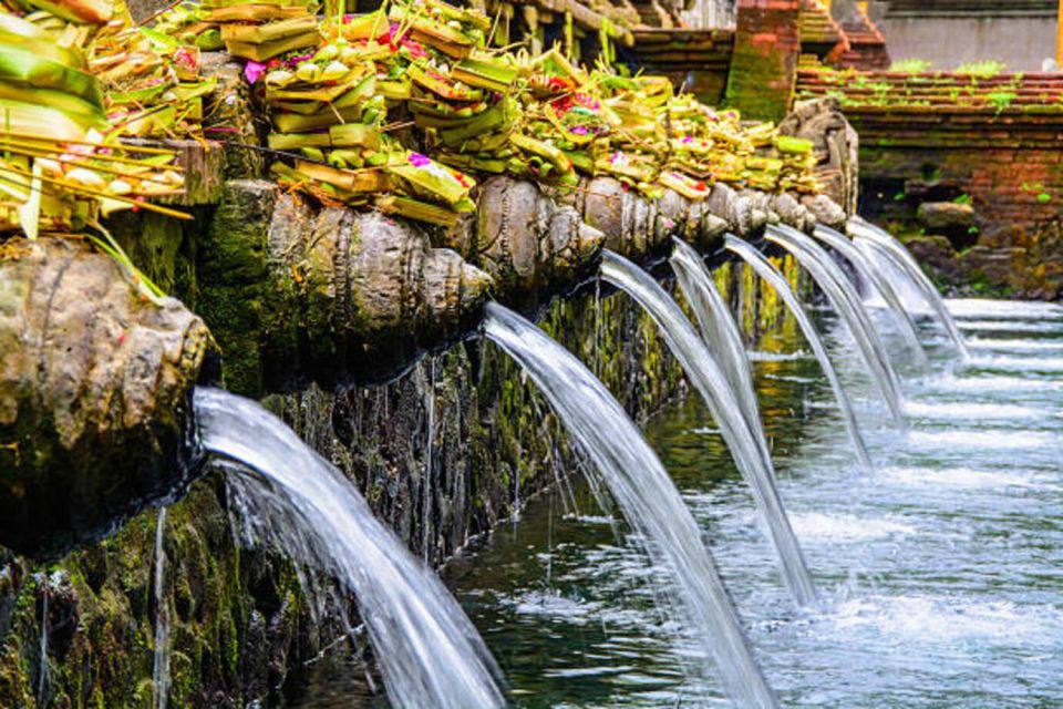 Bali: Ubud Full Day Private Tour - Pickup and Drop-off