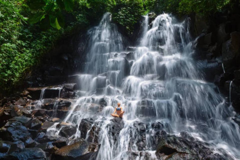 Bali: Ubud Full Day Private Tour - Tour Highlights