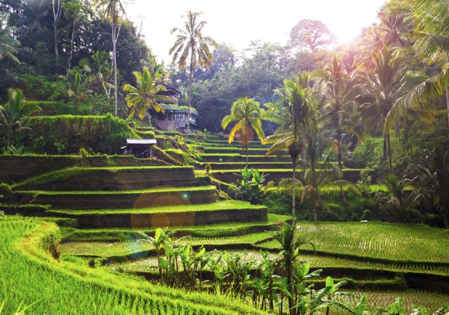 Bali: Ubud Full-Day Sightseeing Tour With Legong Dance Show - Tirta Empul Temple