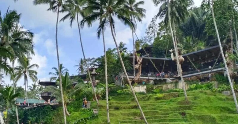 Bali Ubud : Full Day Tour Costumized Ubud Area - Highlights and Activities