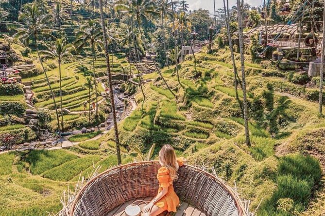 Bali: Ubud Highlights Tour With Private Guide and Transfers - Explore Ubuds Wonders