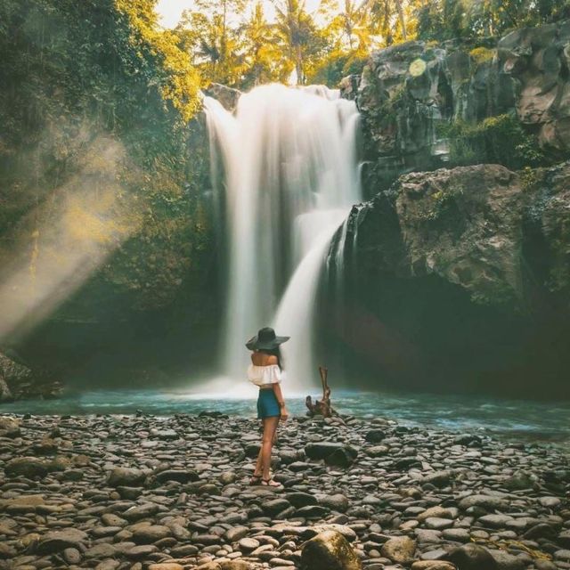 Bali: Ubud Highlights With Private Guide and Transfers - Customization Options