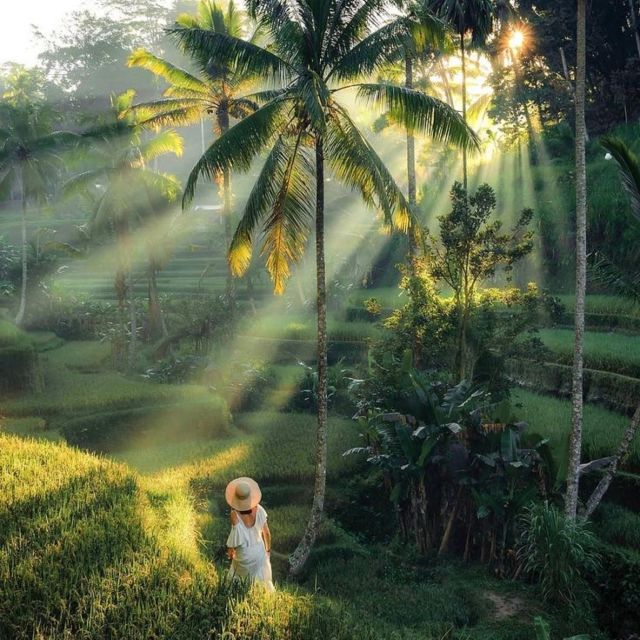 Bali: Ubud Highlights With Private Guide and Transfers - Frequently Asked Questions