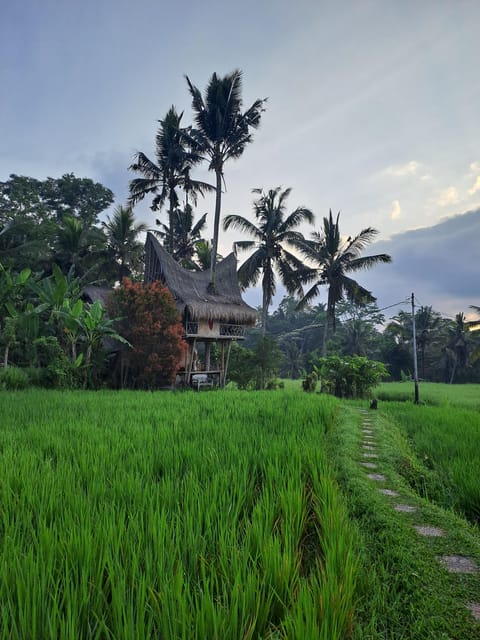 Bali : Ubud Magnificent Sight Private Tour - Good To Know