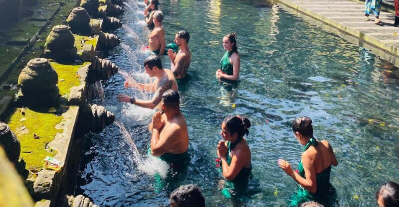 Bali : Ubud Magnificent Sight Private Tour - Itinerary Highlights