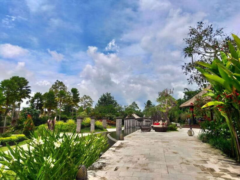 Bali: Ubud, Monkey Forest, Ancient Temple, Waterfalls - An Honest Look at the Tour Experience