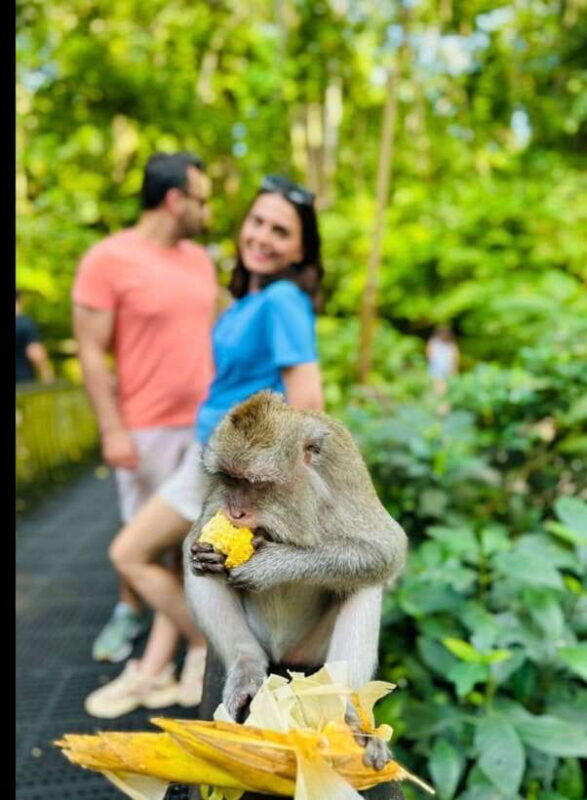 Bali: Ubud Monkey Forest, Coffee Plantation, and Market Tour - FAQ