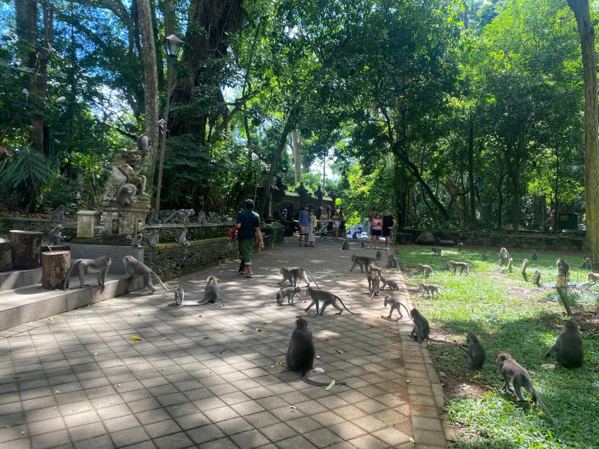 Bali: Ubud Monkey Forest, Rice Terraces, Temple, & Waterfall - Itinerary