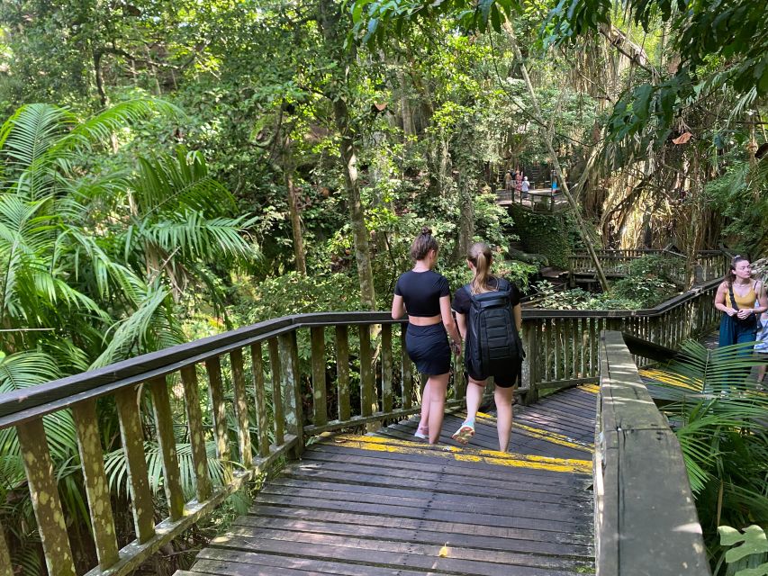 Bali: Ubud Monkey Forest, Rice Terraces, Temple, & Waterfall - Friendly Monkeys at Monkey Forest
