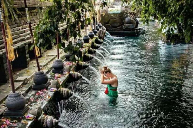 Bali: Ubud Monkey Forest, Waterfall, and Rice Terrace Tour - Who Should Consider This Tour?