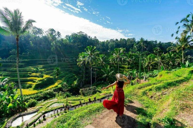 Bali: Ubud Monkey Forest, Waterfall, and Rice Terrace Tour - FAQ