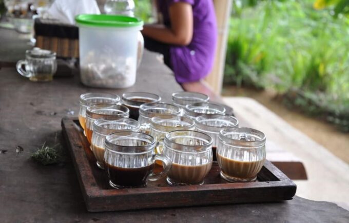 Bali: Ubud Nature Tour - Traveler Reviews