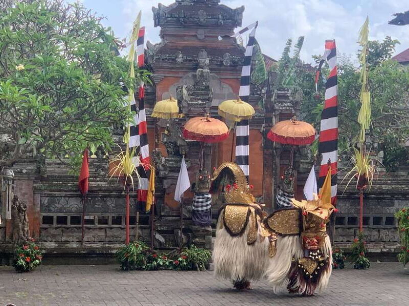 Bali Ubud : Private Full/ Half Day Tour, Optional Activities - An In-Depth Look at the Ubud Tour Experience