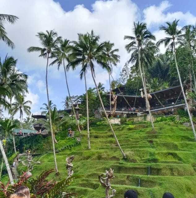 Bali Ubud : Private Full/ Half Day Tour, Optional Activities - FAQs