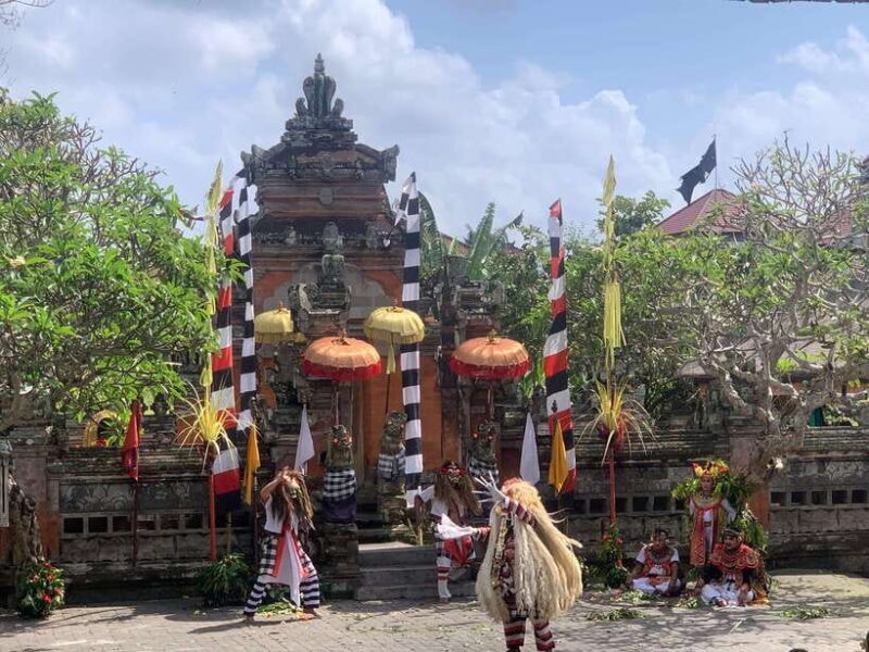 Bali Ubud : Private Full/ Half Day Tour, Optional Activities - Final Thoughts