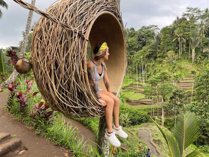 Bali: Ubud Private Semi-Customized Tours - Itinerary Highlights