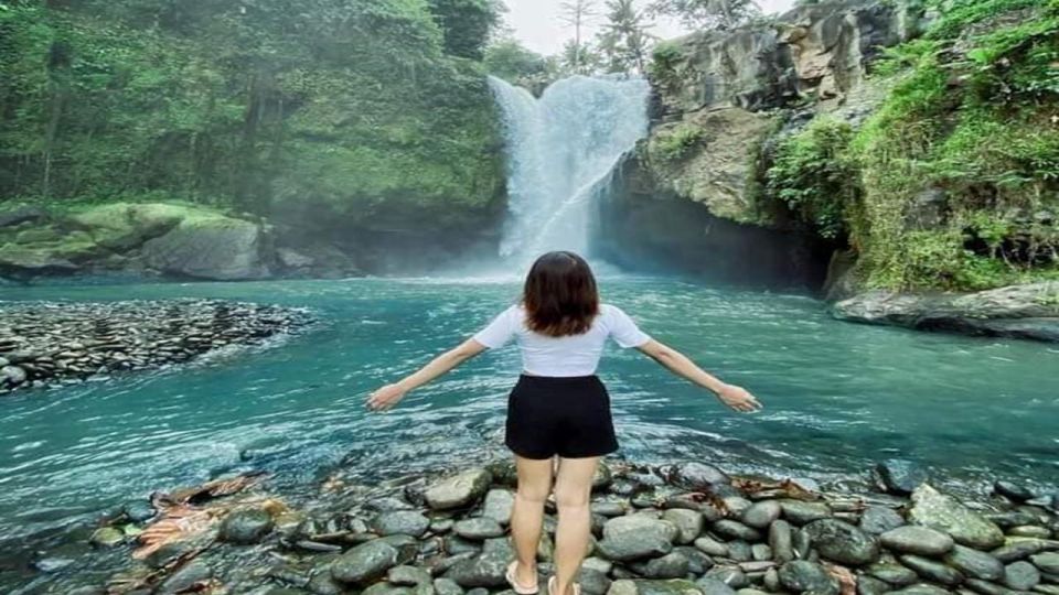 Bali: Ubud Private Semi-Customized Tours - Customization Options