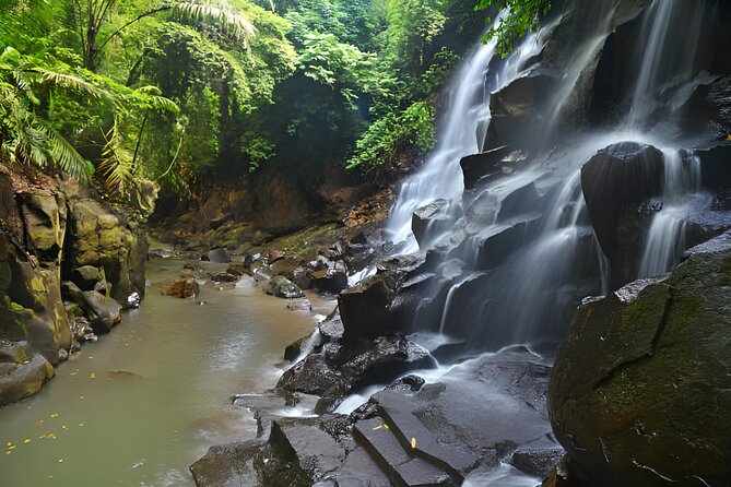 Bali: Ubud Private Tour - Inclusions of the Tour