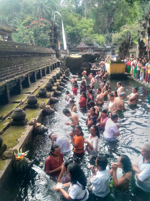 Bali Ubud Private Tour: Rice Terrace, Tirta Empul,Waterfalls - Inclusions and Exclusions