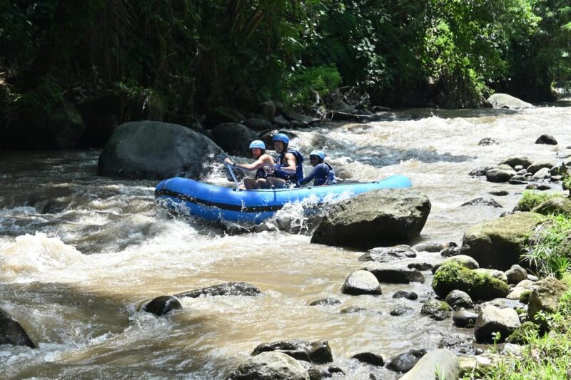 Bali: Ubud Rafting and Swing Adventure - Inclusions