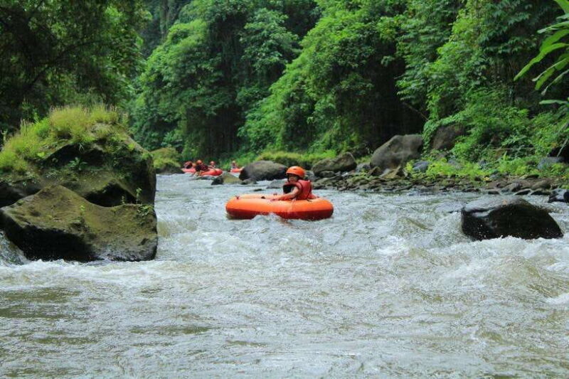 Bali: Ubud River Tubing Adventure with Lunch - An In-depth Look at the Ubud River Tubing Adventure