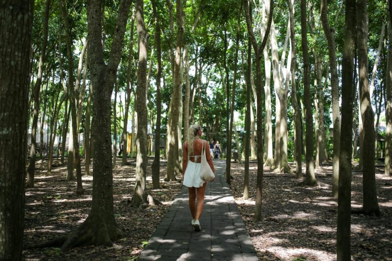Bali: Ubud Serenity Tour With Tegenungan Waterfall - Included Services