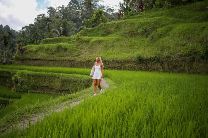 Bali: Ubud Serenity Tour With Tegenungan Waterfall - Tegalalang Rice Terraces Tour