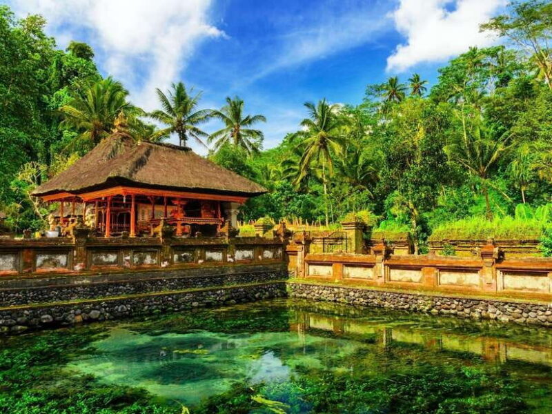 Bali: Ubud Spiritual Journey with purification ceremony. - Key Points