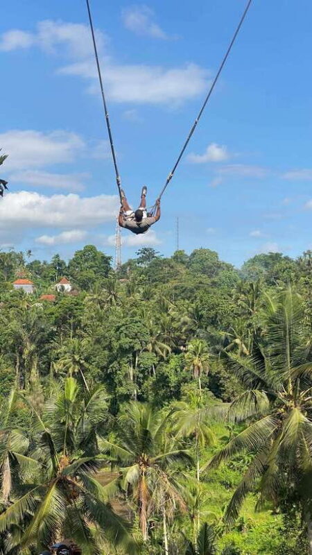 Bali: Ubud Swing Experience with Jungle View - The Experience at the Swing Site