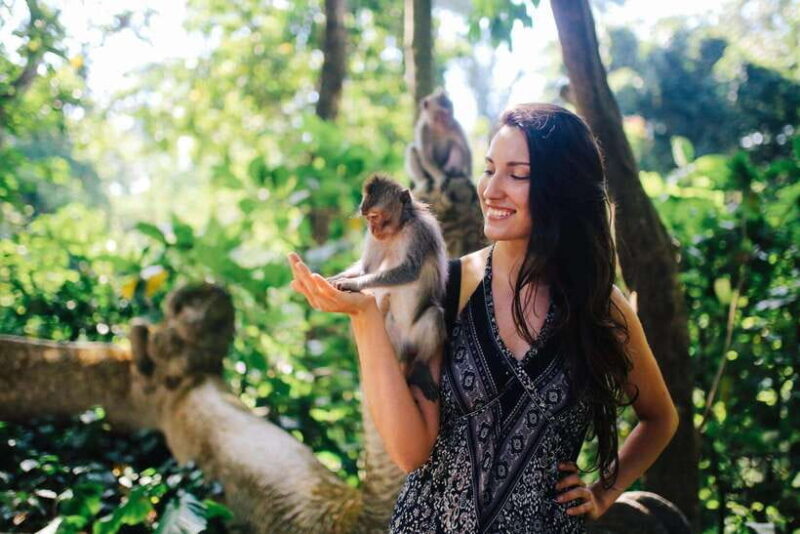 Bali: Ubud (Temple, Spring, Rice Terraces, & Waterfall) - Key Points
