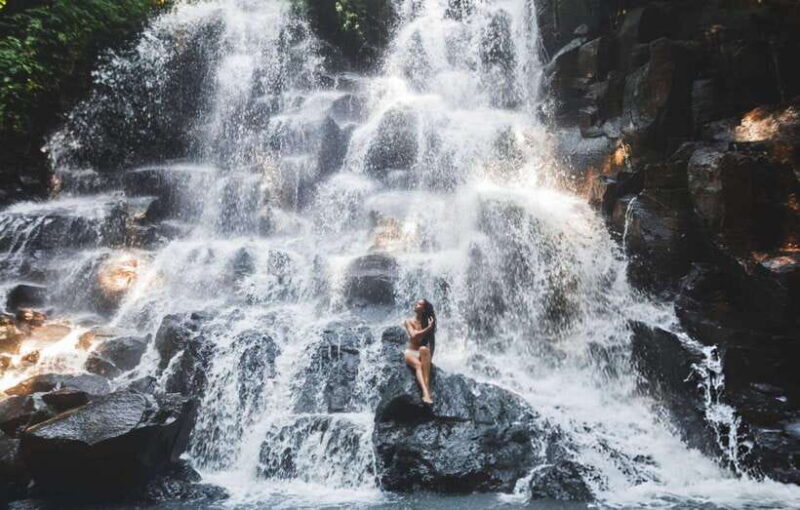 Bali: Ubud Tour with Tirta Empul Temple and Rice Terrace - Exploring Bali’s Natural and Cultural Gems