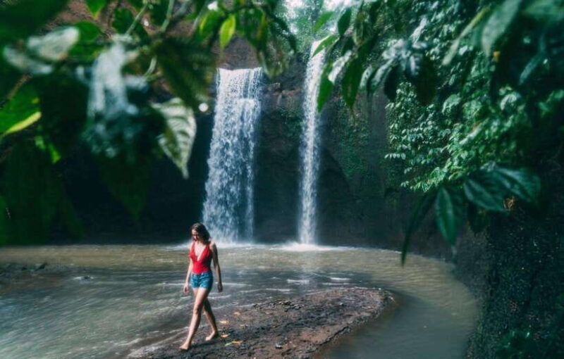 Bali: Ubud Tour with Tirta Empul Temple and Rice Terrace - Bali’s Iconic Rice Terraces