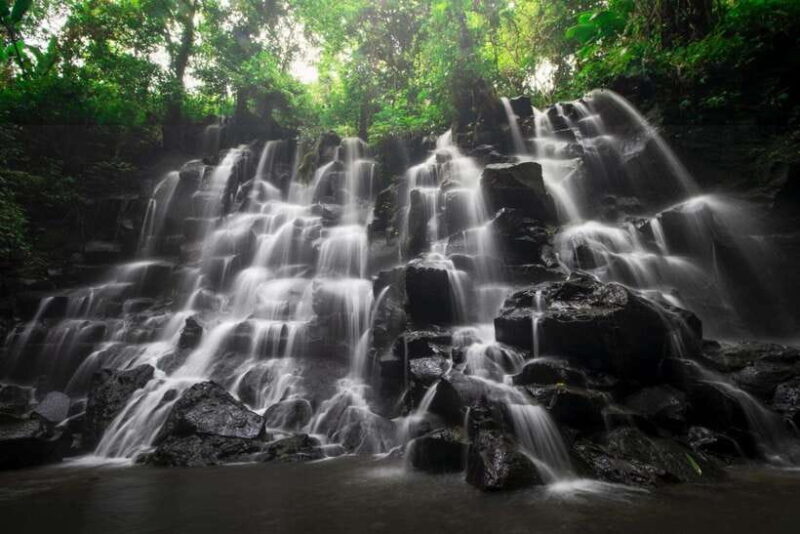 Bali: Ubud Tour with Tirta Empul Temple and Rice Terrace - The Value Proposition