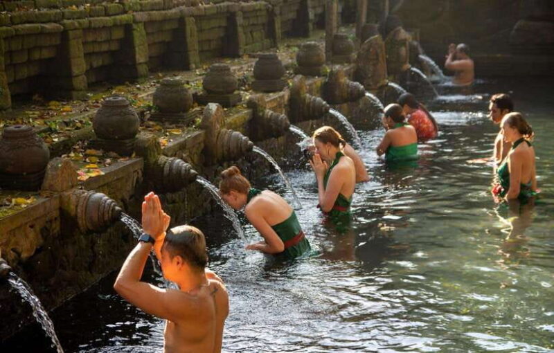 Bali: Ubud Tour with Tirta Empul Temple and Rice Terrace - What’s Not Included