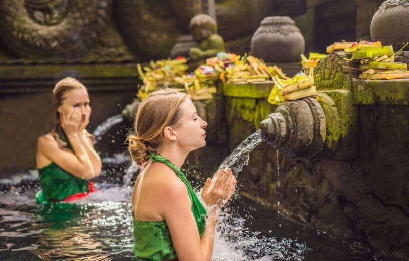 Bali: Ubud Tour with Tirta Empul Temple and Rice Terrace - Final Thoughts