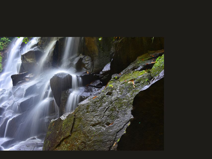 Bali : Ubud Tropical Trails, Waterfall & Rice Terraces. - Artisan Exploration