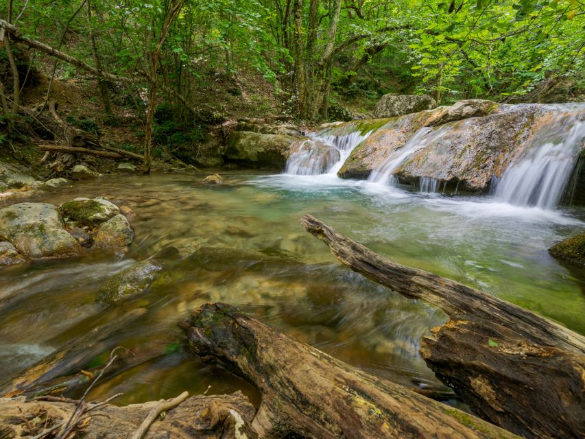 Bali : Ubud Tropical Trails, Waterfall & Rice Terraces. - Booking and Availability