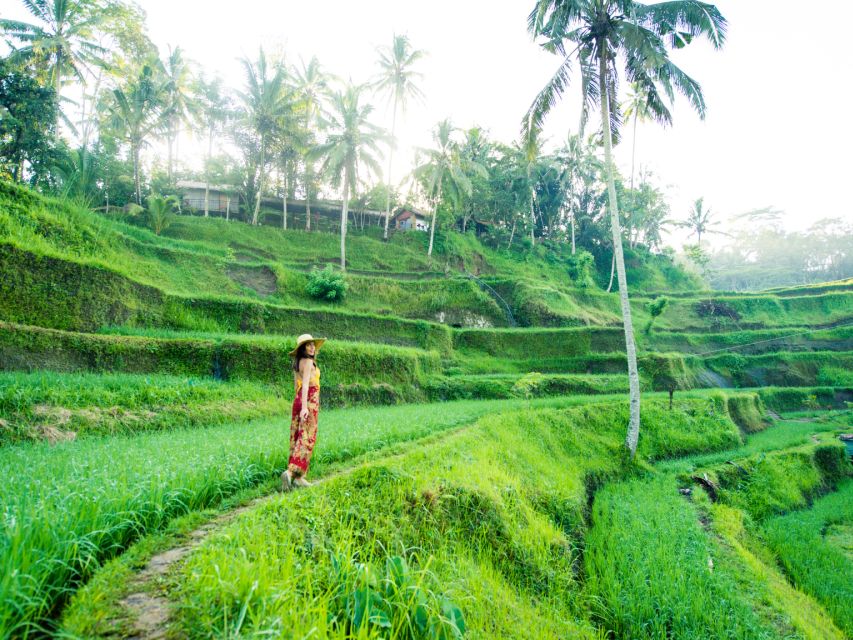 Bali : Ubud Tropical Trails, Waterfall & Rice Terraces. - Cancellation Policy