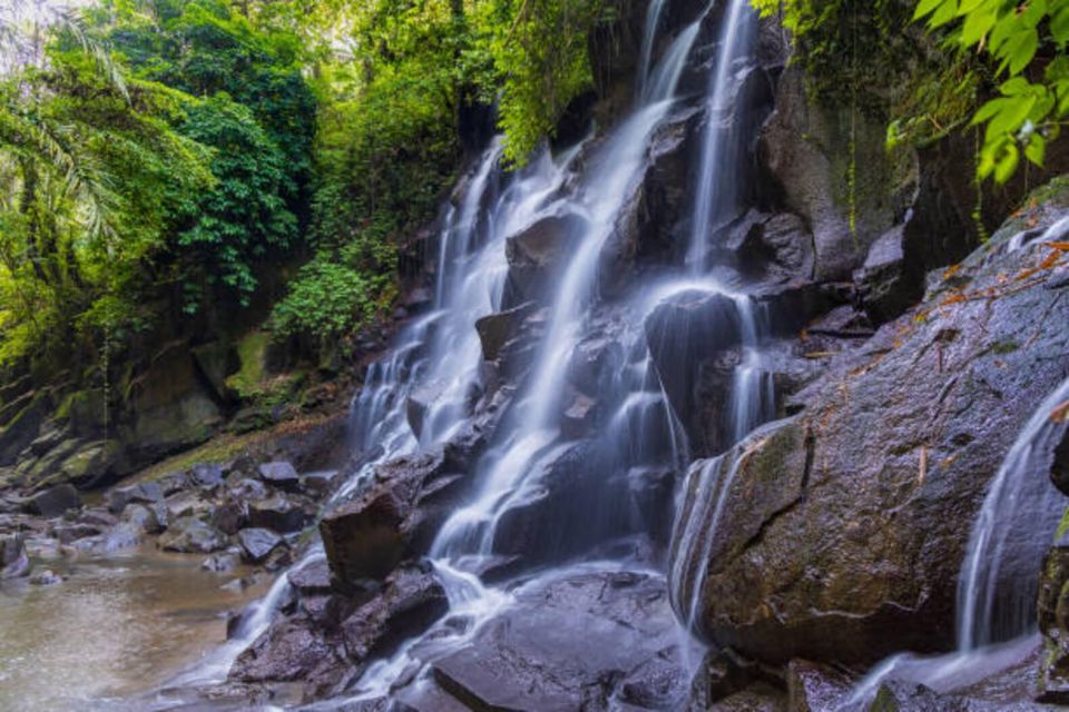 Bali: Ubud Waterfall Tour - Itinerary Highlights