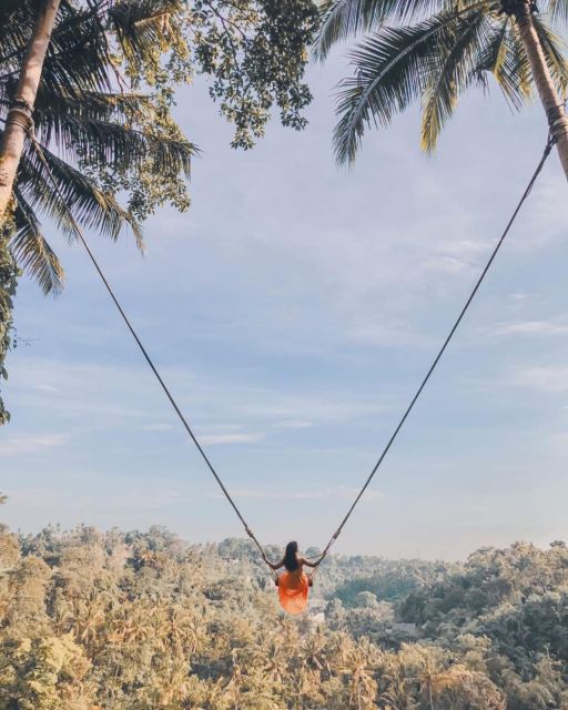 Bali: Ubud Waterfalls, Rice Terraces & Jungle Swing Tour - Tegalalang Rice Terraces